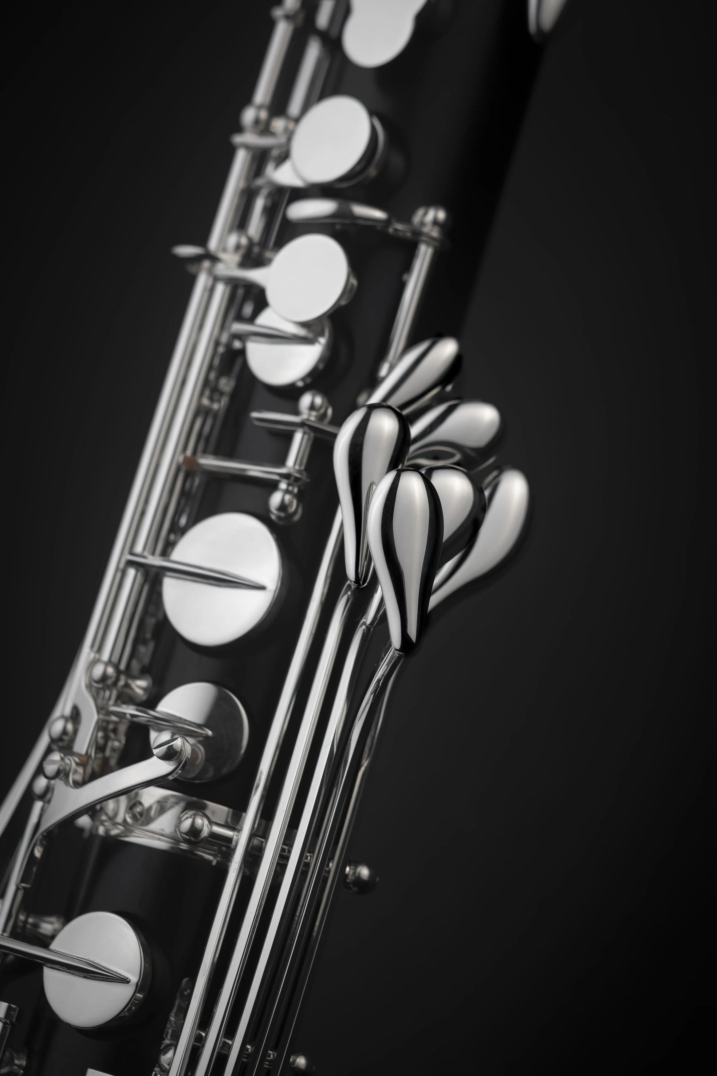 Basse Privilege - Image 4