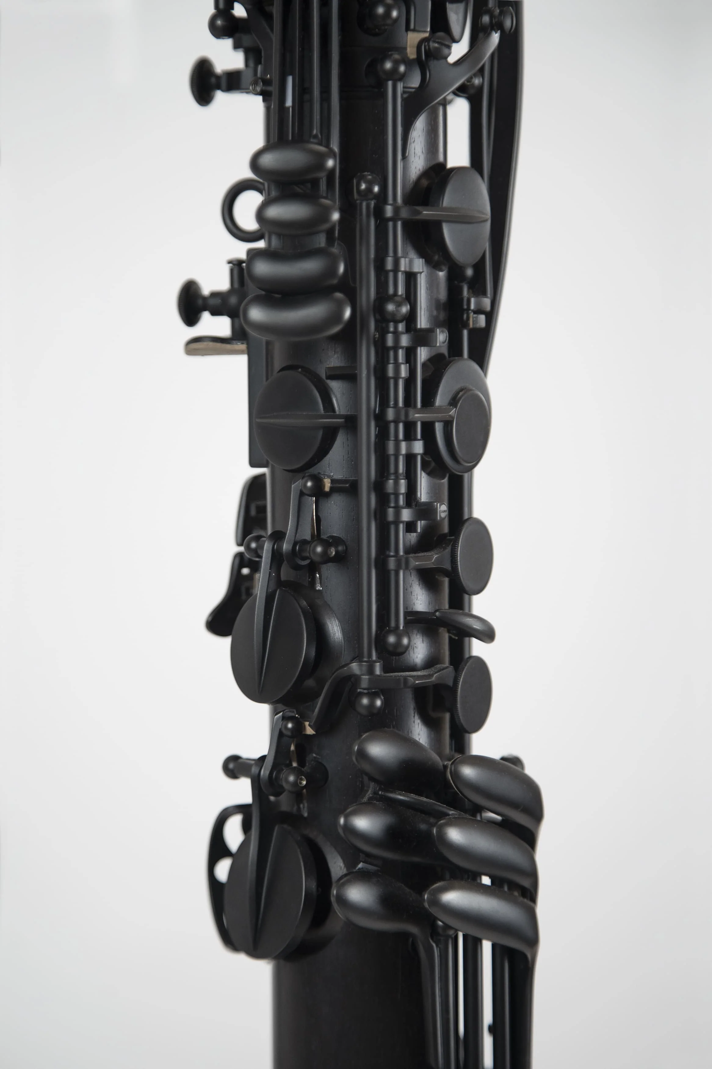Basse Privilege - Image 6