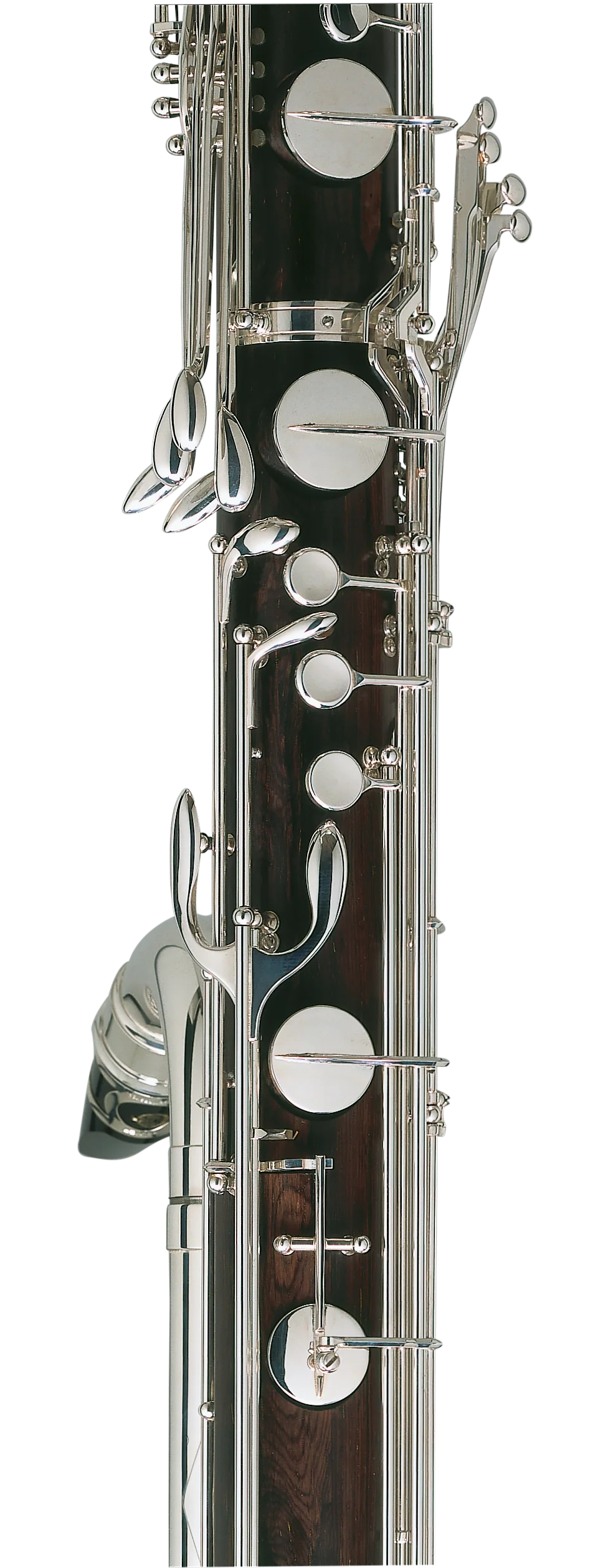 Contrebasse - Image 3