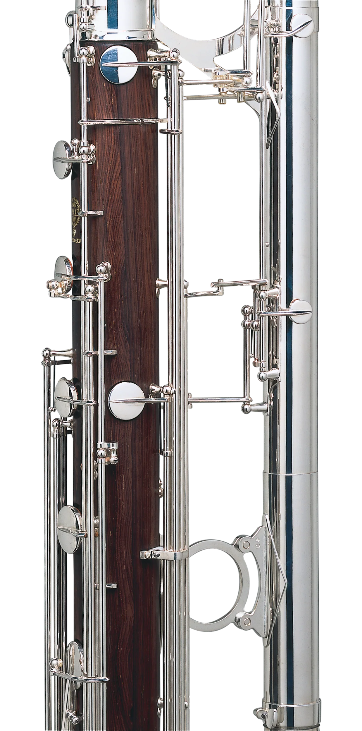 Contrebasse - Image 4