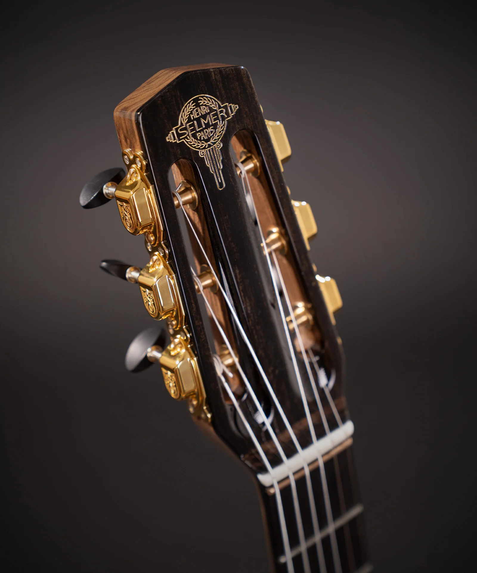 Guitare Jazz Édition Limitée - Image 3