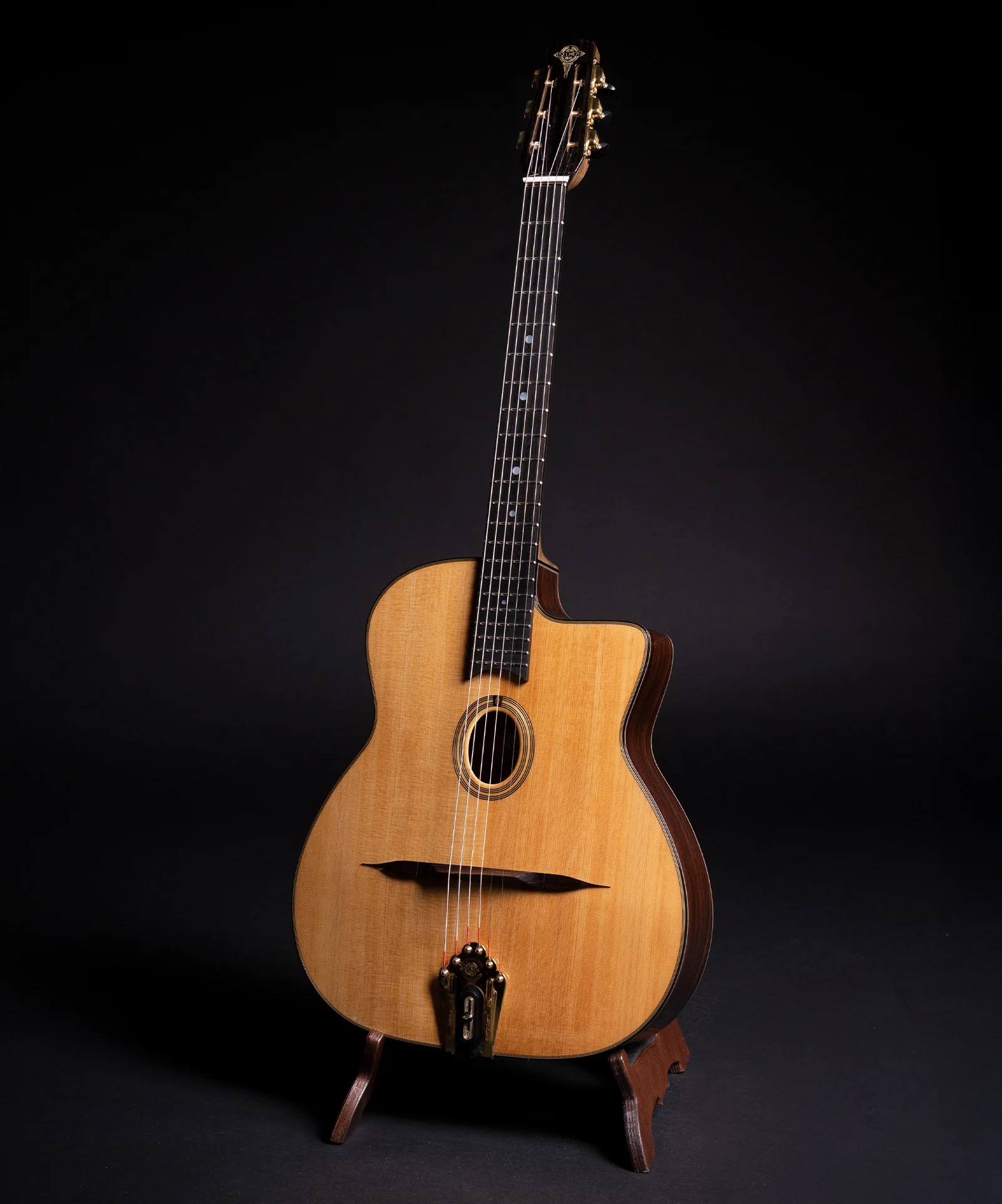 Guitare Jazz Édition Limitée - Image 5