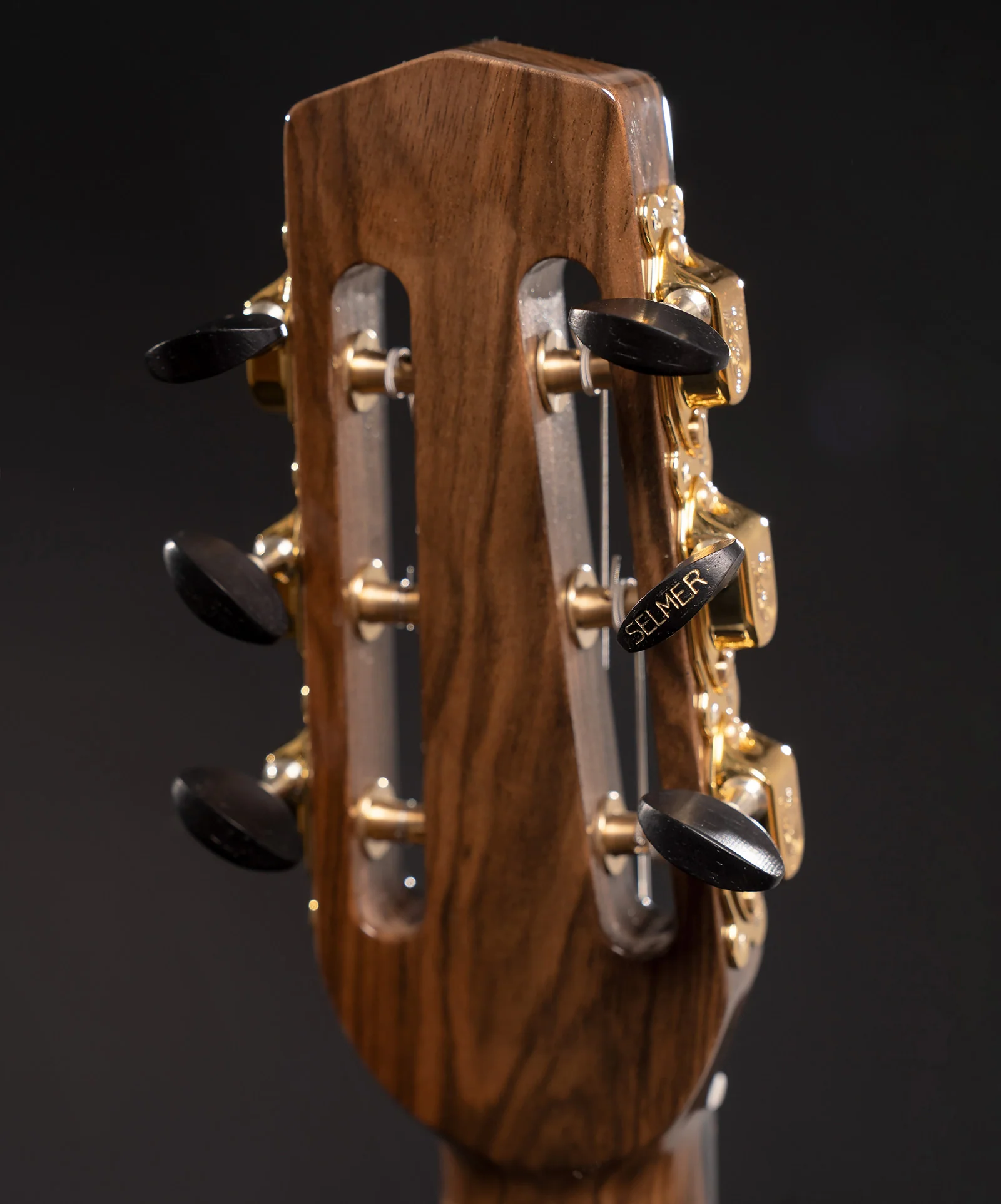 Guitare Jazz Édition Limitée - Image 6