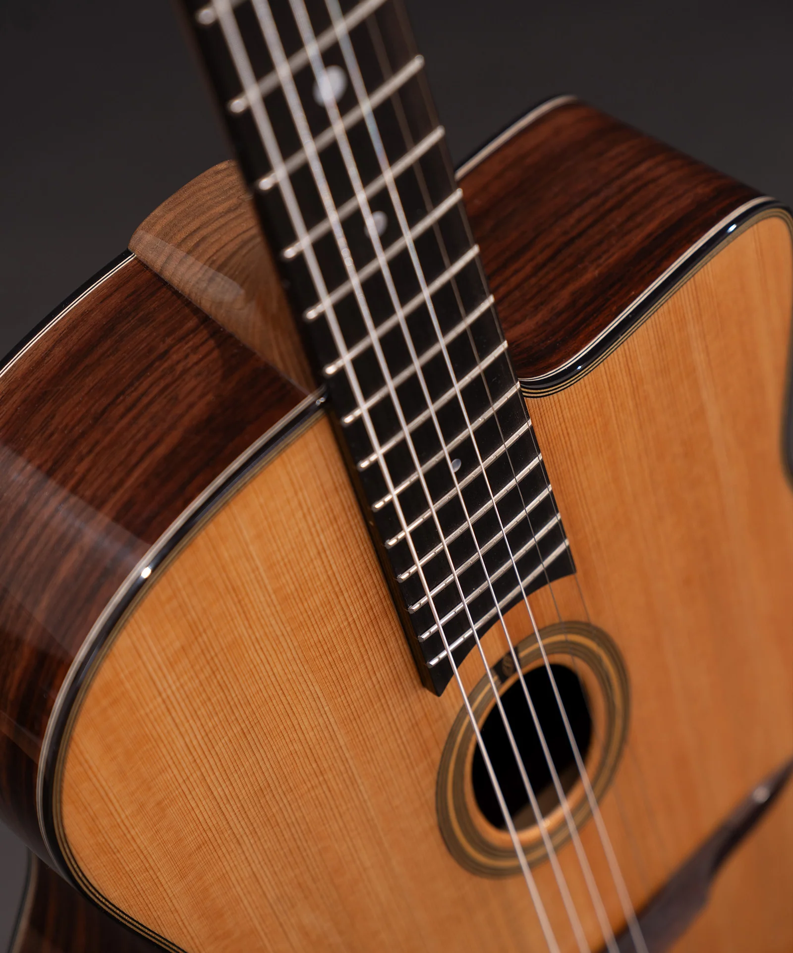 Guitare Jazz Édition Limitée - Image 7