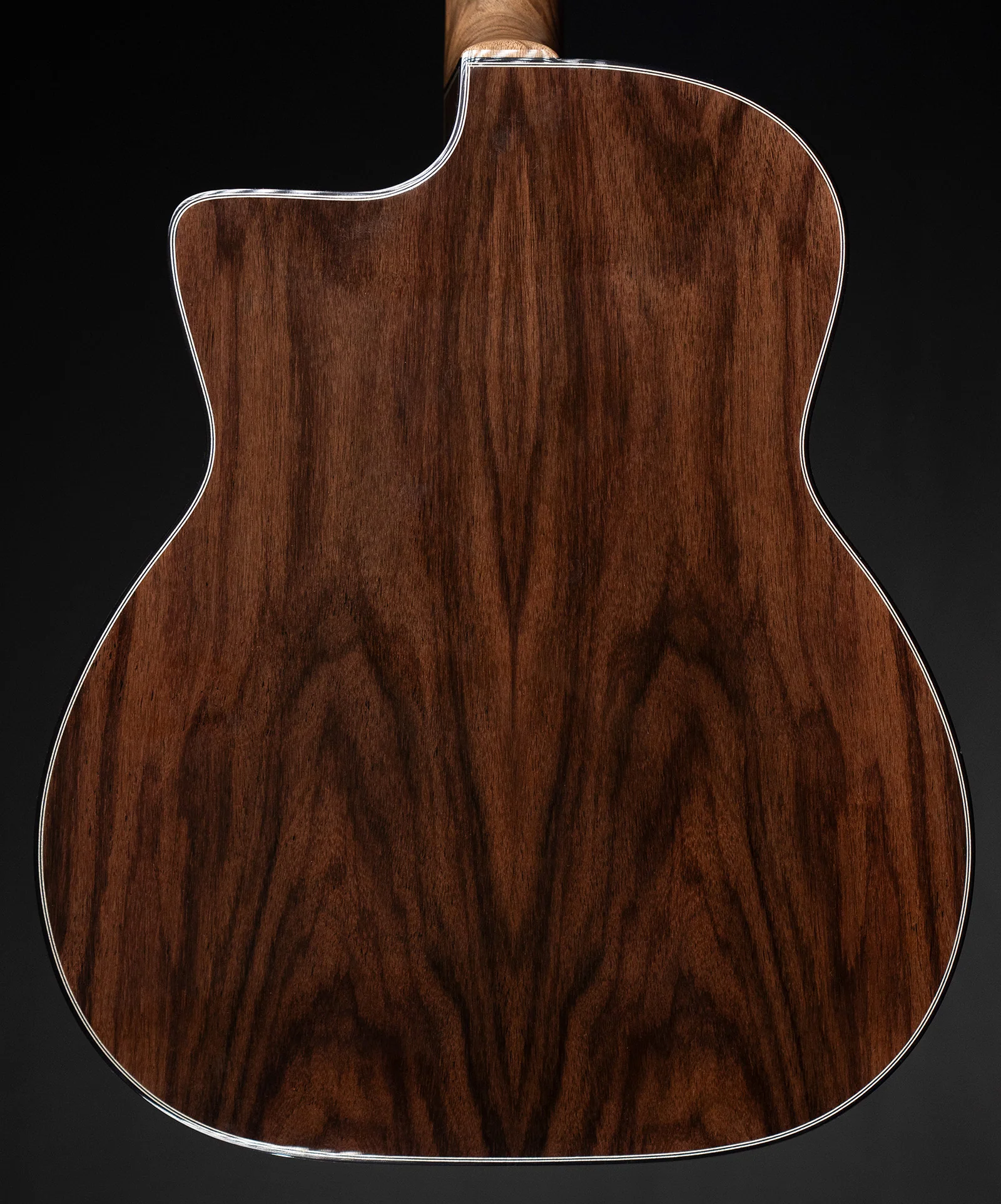 Guitare Jazz Édition Limitée - Image 8