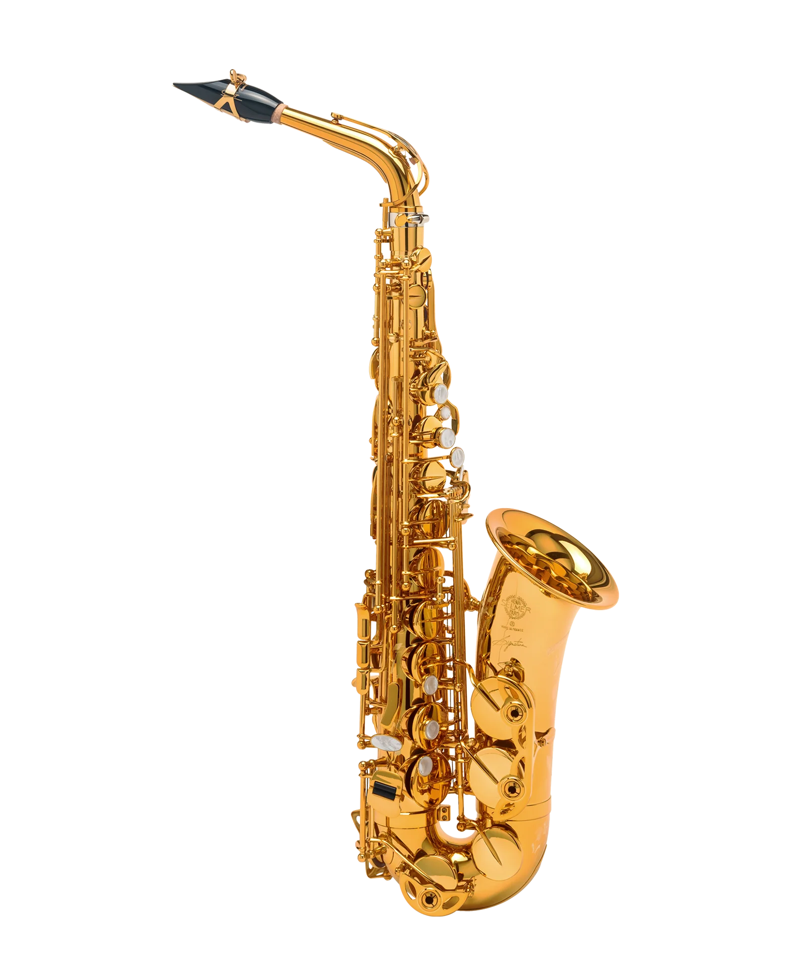 Signature - Image 7