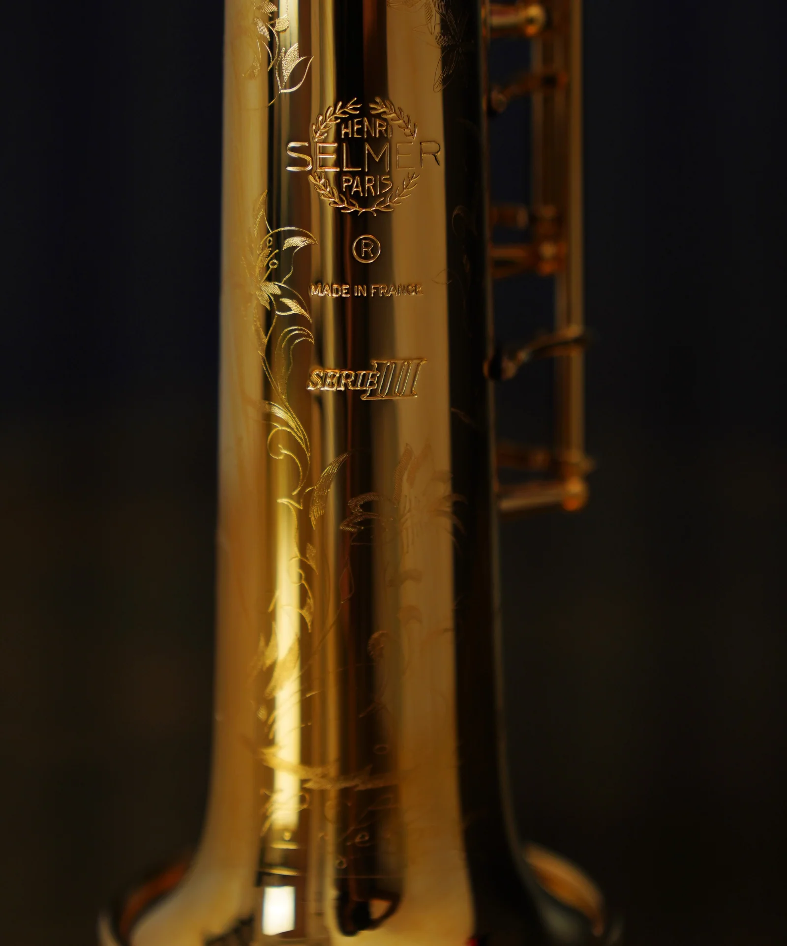 Série III - Image 13